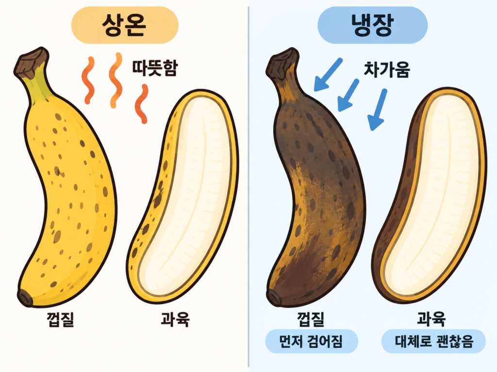 바나나 냉장 보관했더니 껍질부터 까맣게… 과육은 괜찮을까? 설명 도식