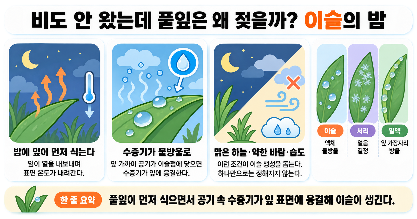 비도 안 왔는데 풀잎은 왜 젖을까? 이슬의 밤