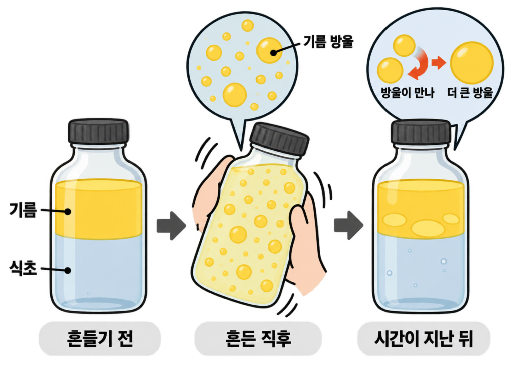 드레싱은 흔들면 섞였는데 왜 다시 두 층이 될까? 설명 도식