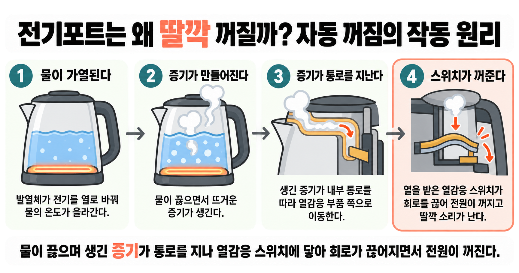 전기포트는 왜 딸깍 꺼질까? 자동 꺼짐의 작동 원리